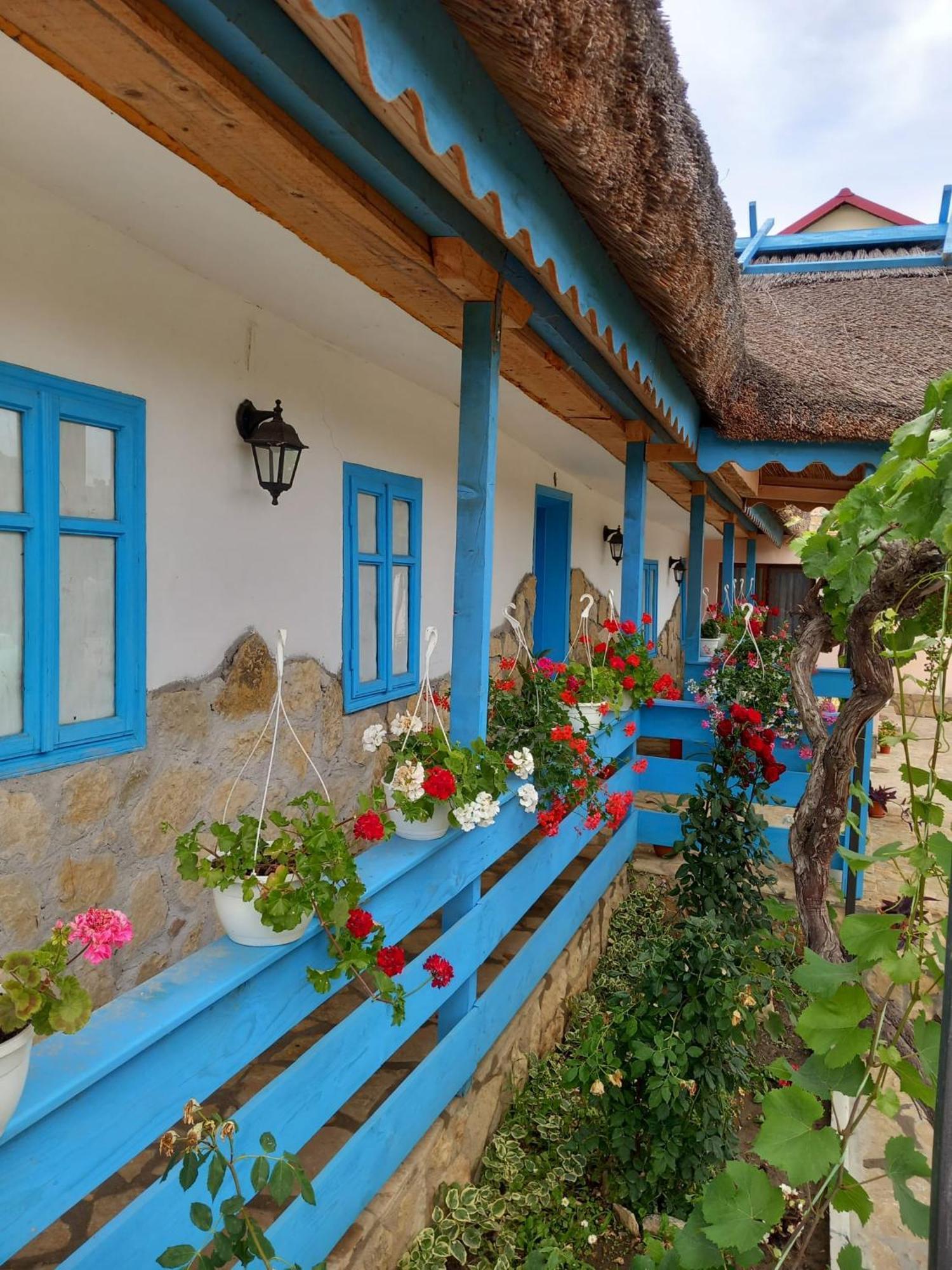 Casa Rasaritul Soarelui Sarichioi Hotel Exterior photo